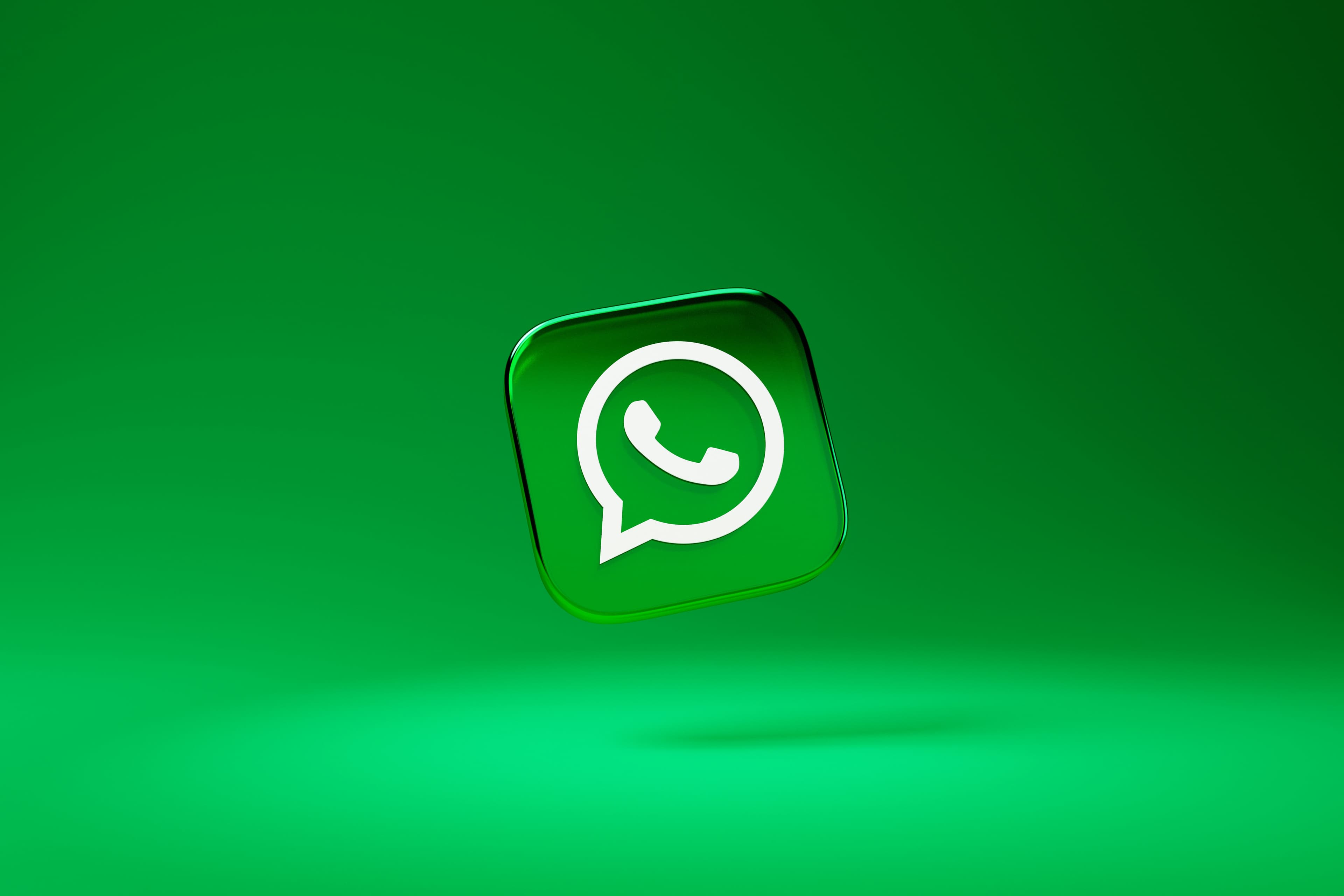 WhatsApp Business conversation showing a product catalog, order confirmation, and payment link